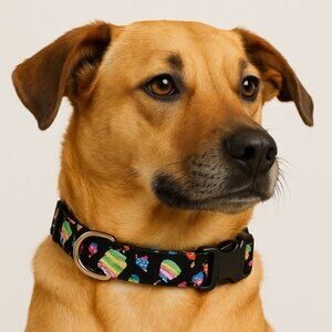 Birthday Dog Collar, Happy Birthday Cake Adjustable Fabric Dog Collar 3/4" wide